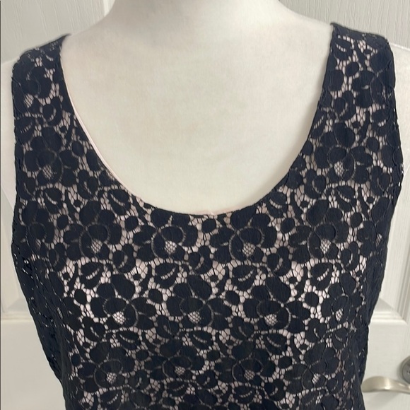 Talula Aritzia Betty Black Lace Tank Top with Pink Lining Size M - Picture 7 of 11